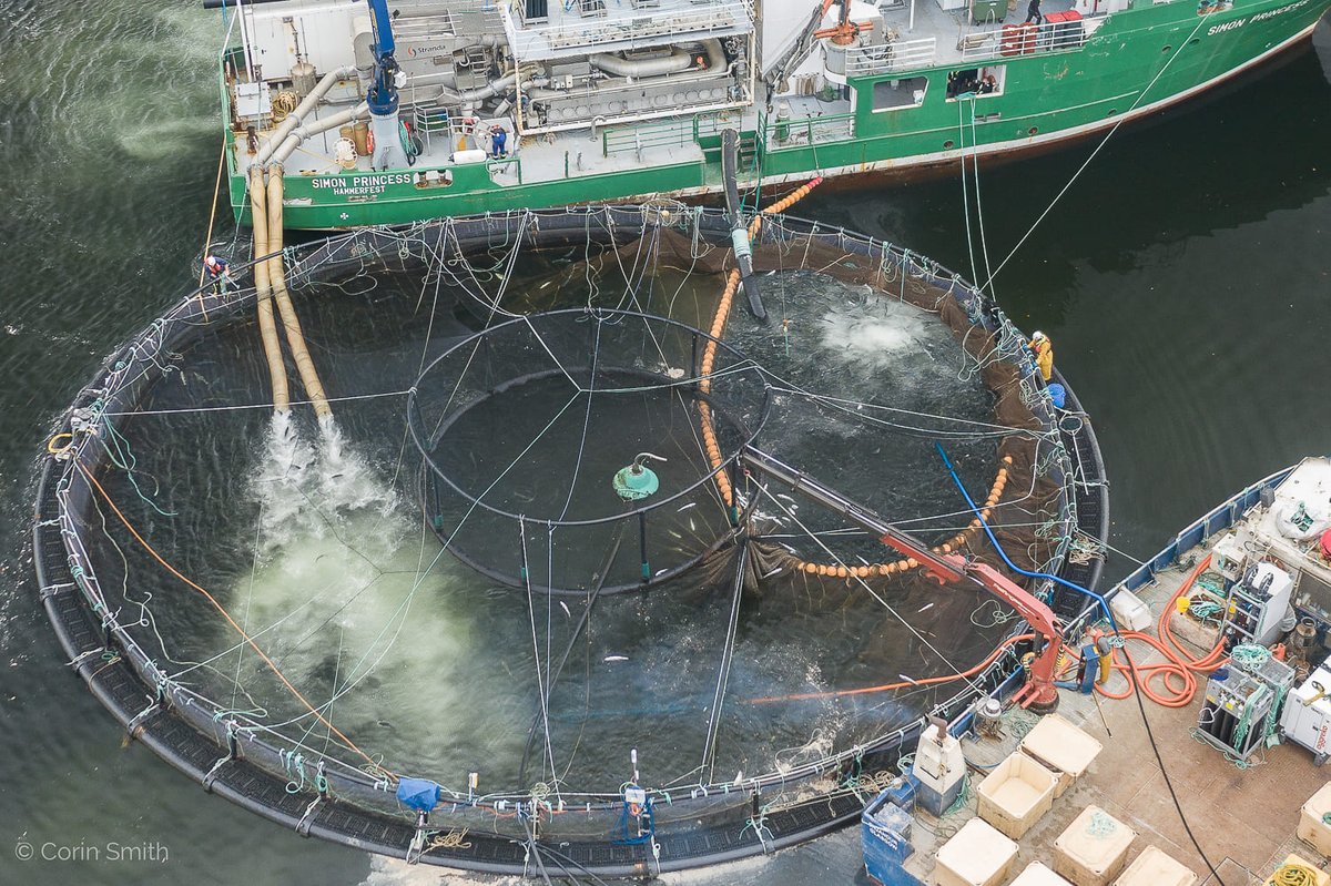 “Vamos a hacerle pagar el costo político más alto posible, al gobernador. Esto no es un capricho ambientalista: es la voluntad de una población que dijo que no quiere contaminar sus aguas”.
cronistaurbano.com.ar/lovece-cruzo-a…