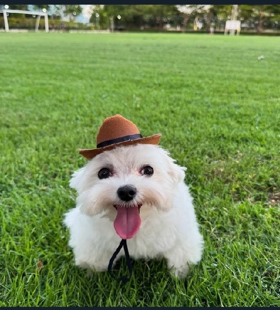 superpaperslap's tweet image. Me when #herbutt hashtag #openup