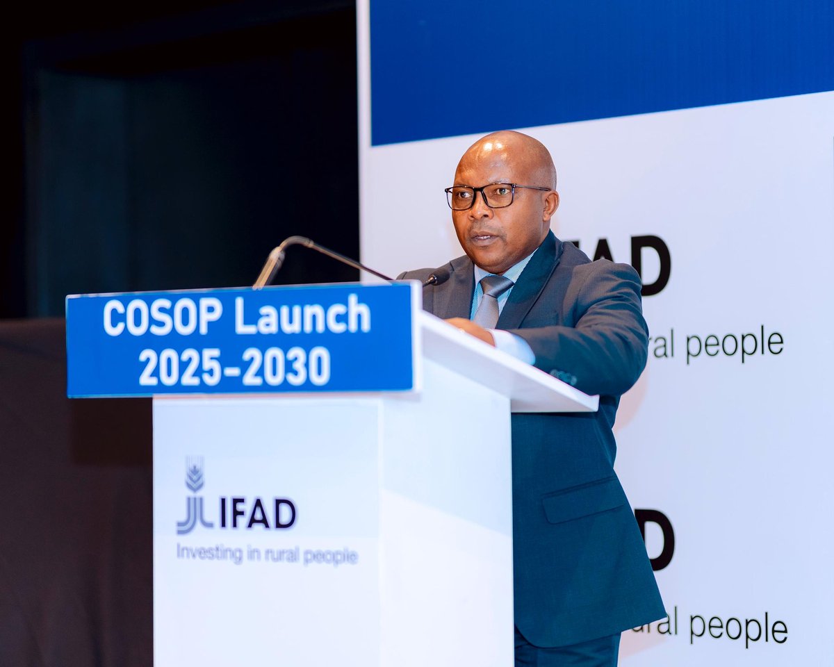 diharagirimana's tweet photo. In his opening remarks, Hon. Dr. Telesphore NDABAMENYE Minister Of @RwandaAgri highlighted the strong impact of #IFAD in Rwanda through key projects such as:
#RDDP: Advancing climate-smart dairy production and improving rural livelihoods.
#KIIWP: Expanding irrigation and watershed management to boost food security and climate resilience.
#PRISM: Strengthening small-livestock value chains and empowering rural youth and women.
And he reflects on the key priorities of #COSOP such as livelihood, youth and women, climate resilience, sustainability.
These successes reflect the transformative potential of #COSOP2025_2030. He reaffirmed Rwanda’s commitment, together with IFAD and partners, to drive agricultural transformation, promote digital innovation, empower communities, and enhance household nutrition for sustainable development.
#COSOP2025_2030
#IFADImpact