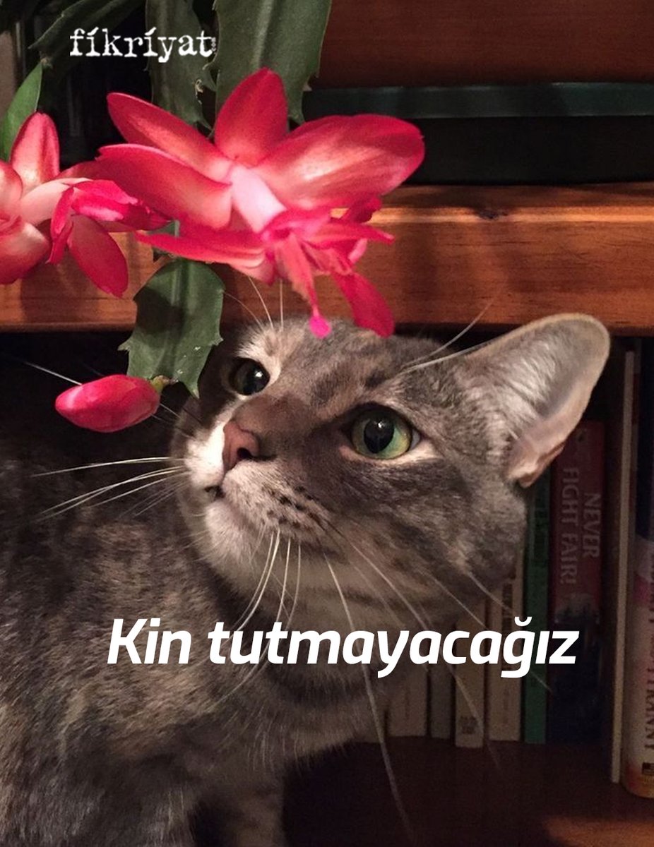 Nazik olacağız.
Kimseyle yarışmayacağız.
Kin tutmayacağız.