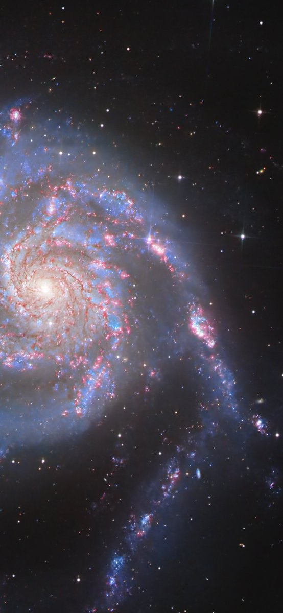 AJamesMcCarthy's tweet image. PSA: When I post my photos in this format, it’s because I want you to save them and use them as phone wallpapers. 

Anyways, here’s my photo of the pinwheel galaxy featuring a supernova. 

More coming 🤓