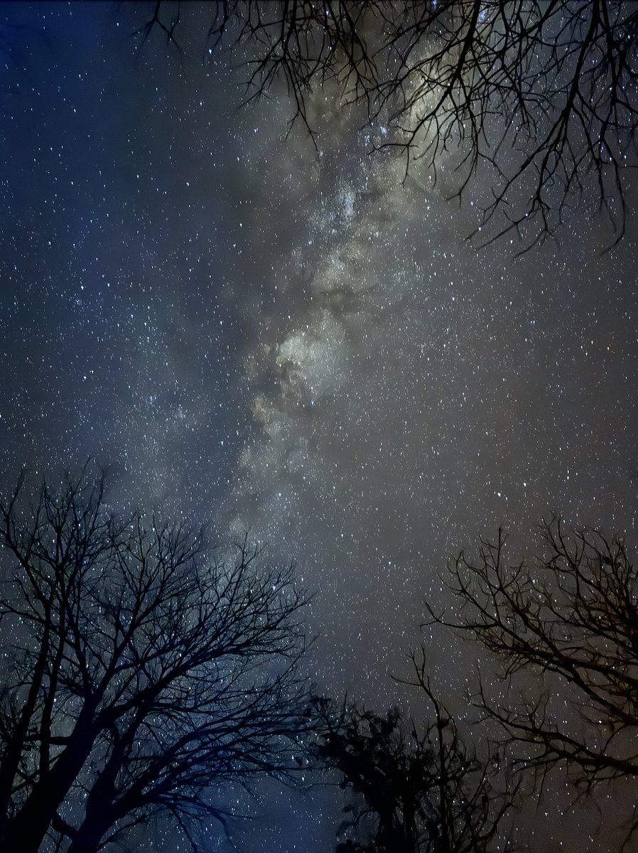 “Sitting in a circle of Boab trees watching the milkway.”
📷 iPhone 15 Pro Max | 6.76mm | ƒ/1.77 | 10s | ISO 8000
👉 Photo by Kathryn Vernham.
📍 Planned with PhotoPills: photopills.com