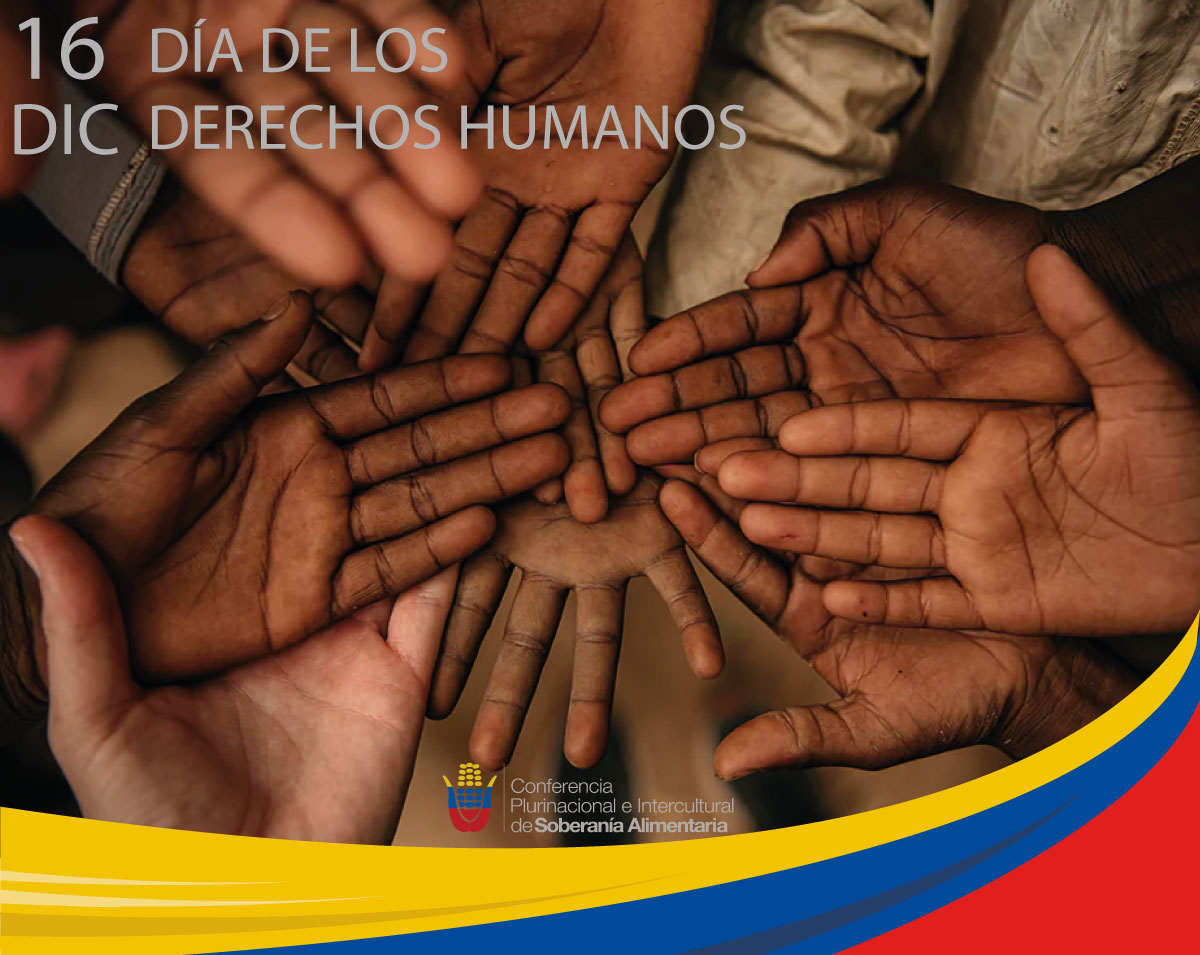 Copisaec's tweet photo. Día de los Derechos Humanos: el derecho a la alimentación y los derechos campesinos son pilares de la soberanía alimentaria. Urge seguir fortaleciendo políticas públicas para garantizarlos. 📑🌱
#DerechosHumanos #SoberaníaAlimentaria https://t.co/KReURg2aM4