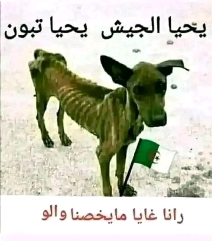 askndr18201's tweet photo. @derradjihafid لا كاس افريقيا لا قفطان لا مونديال لاصحراء لا عملة مثل الدول لابنية تحتية لاجماجم ولاحول ولاقوة الا بالله https://t.co/COOhwQ93Yi