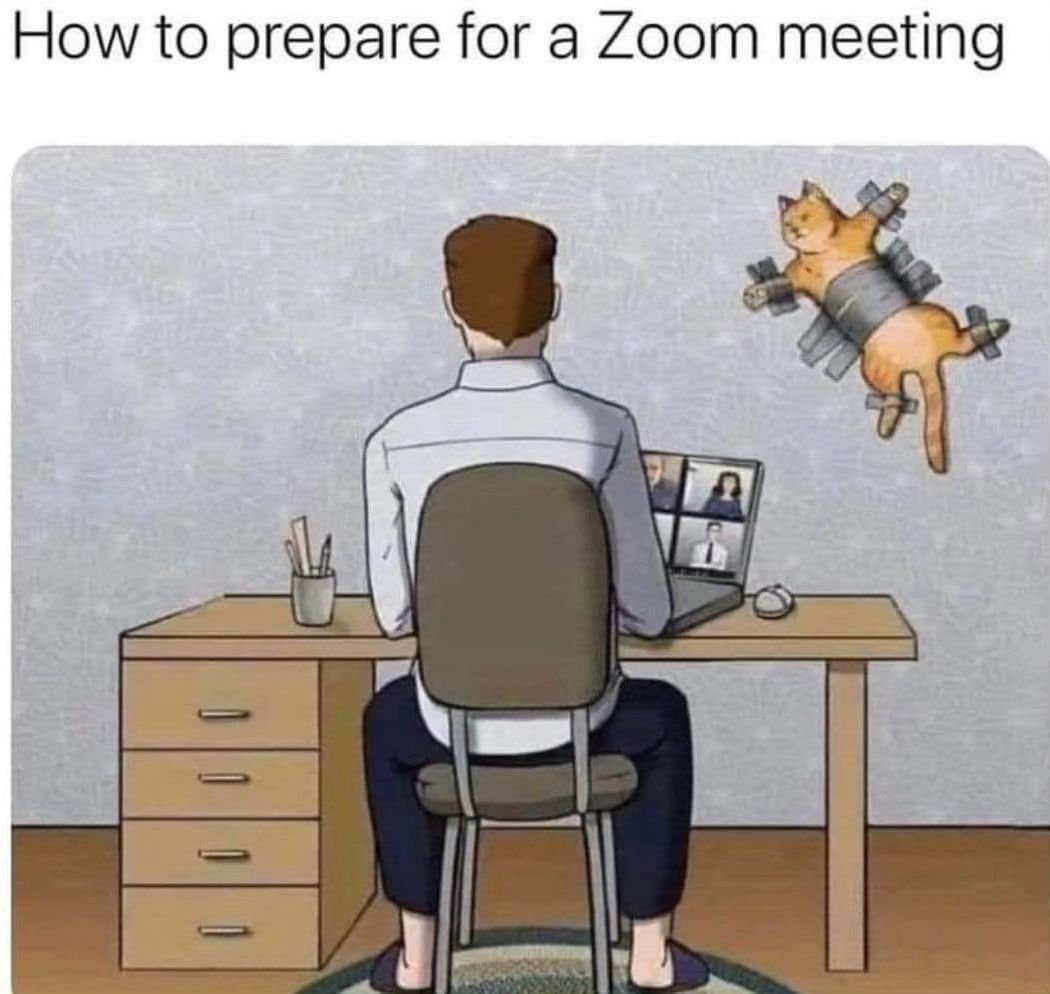 Punch Cat (@PunchingCat) on X