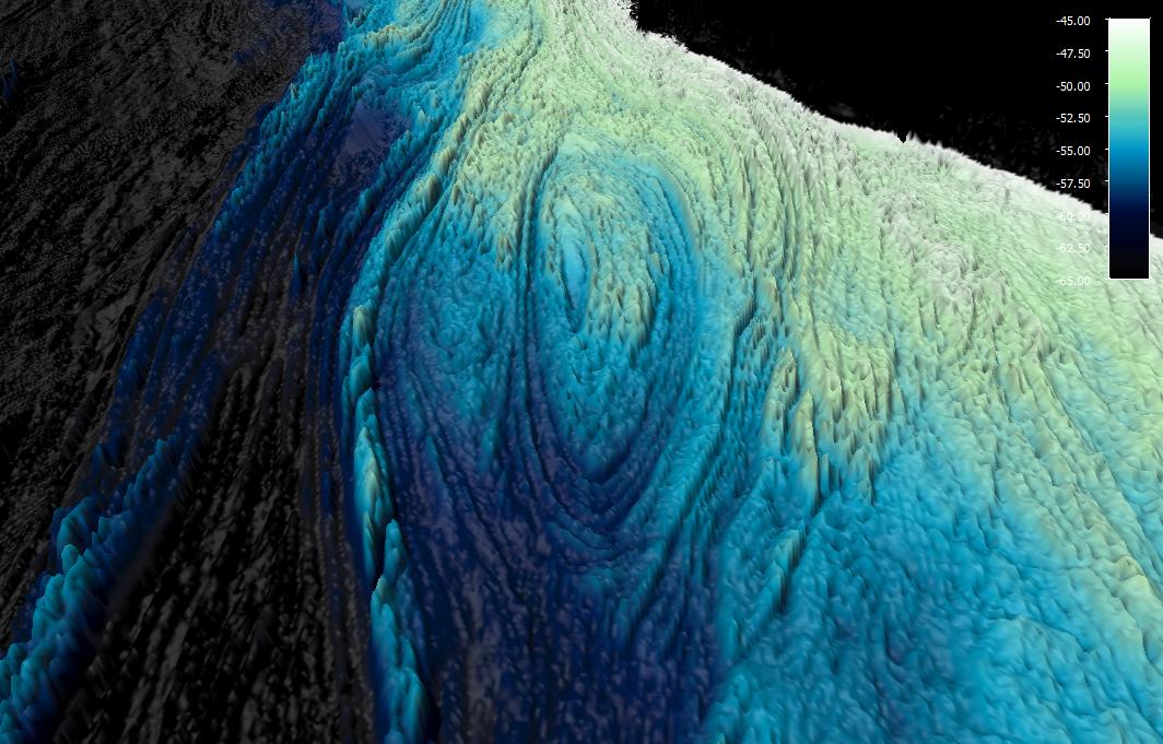 Aileen Bohan tweet media