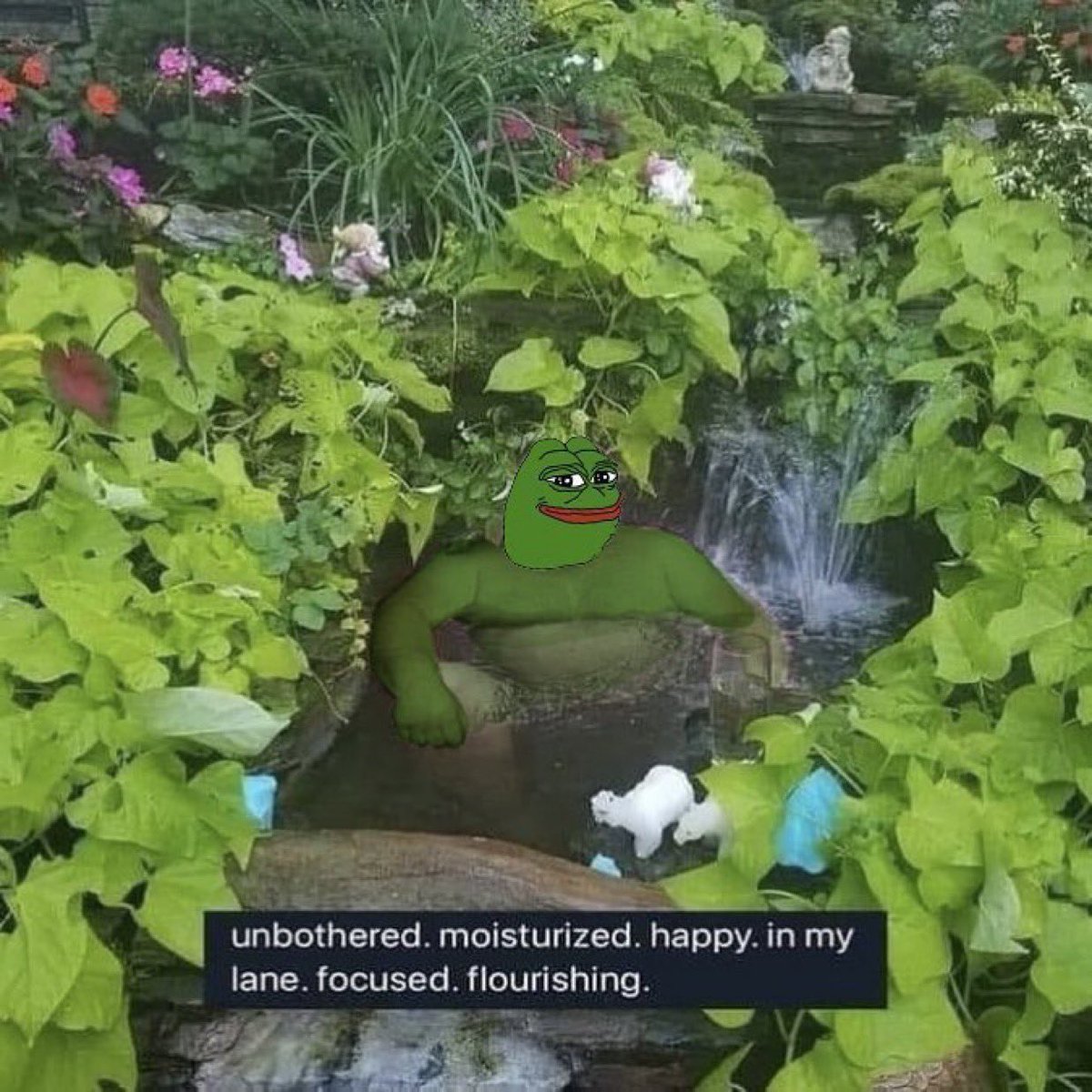 JimmyPepeEth's tweet image. unbothered. moisturized. happy. in my lane. focused. flourishing. $PEPE