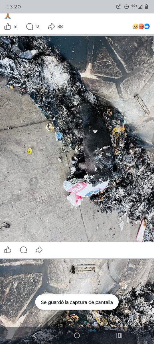 De nuevo #Tlaxcala 🚨🚨🚨
Entre varios drogadictos quemaron vivo a un perrito, este acto NO fue un accidente y a pesar del humo y las llamas ninguna autoridad llegó a tiempo.

Ya ni pedir castigo severo a los responsables por que a la administración de <a href="/LorenaCuellar/">Lorena Cuéllar</a> le súper