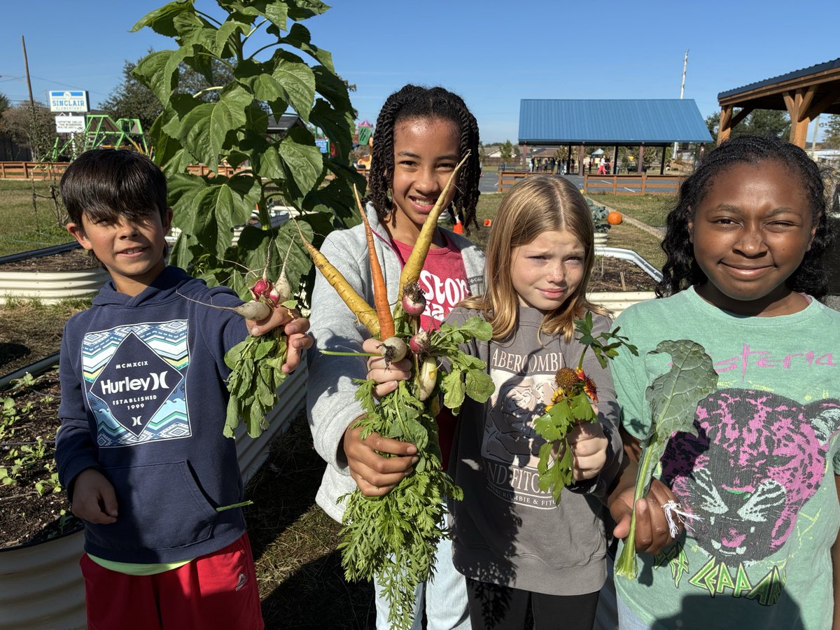 Angela Hoang tweet media