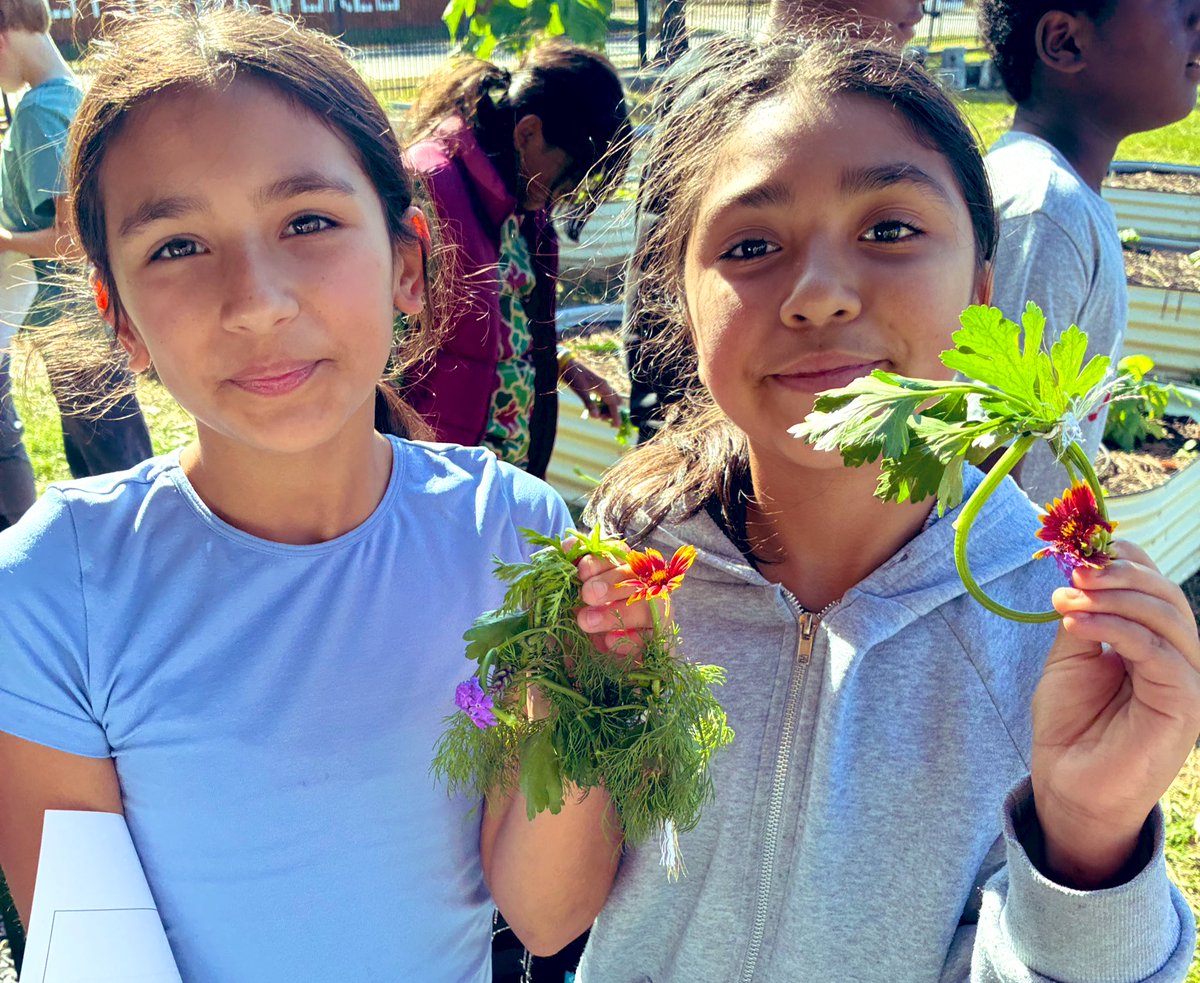 Angela Hoang tweet media