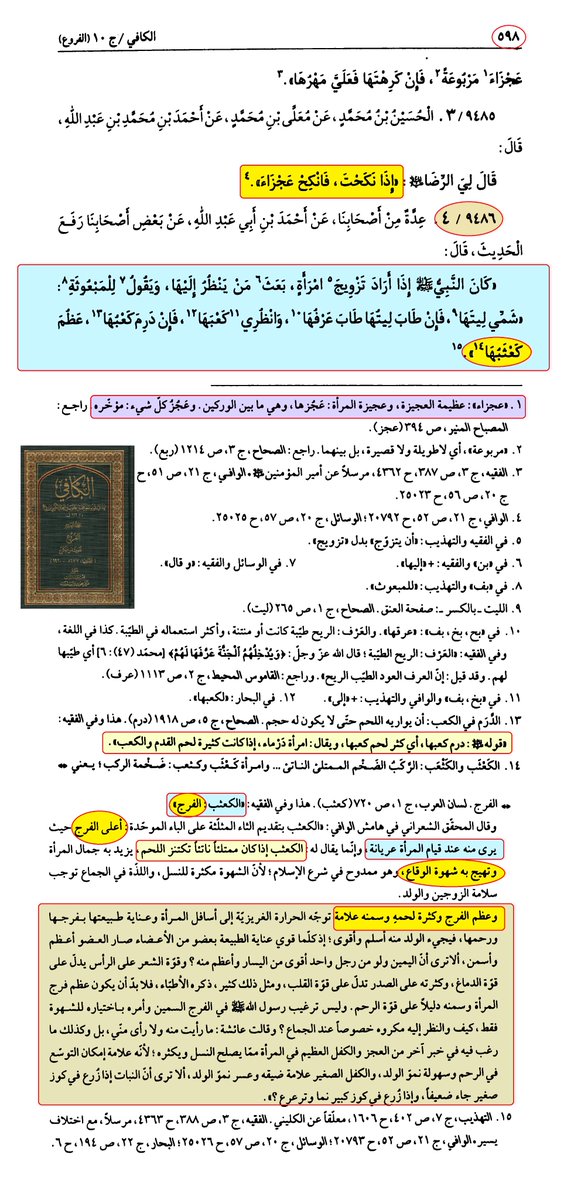 سامر tweet media