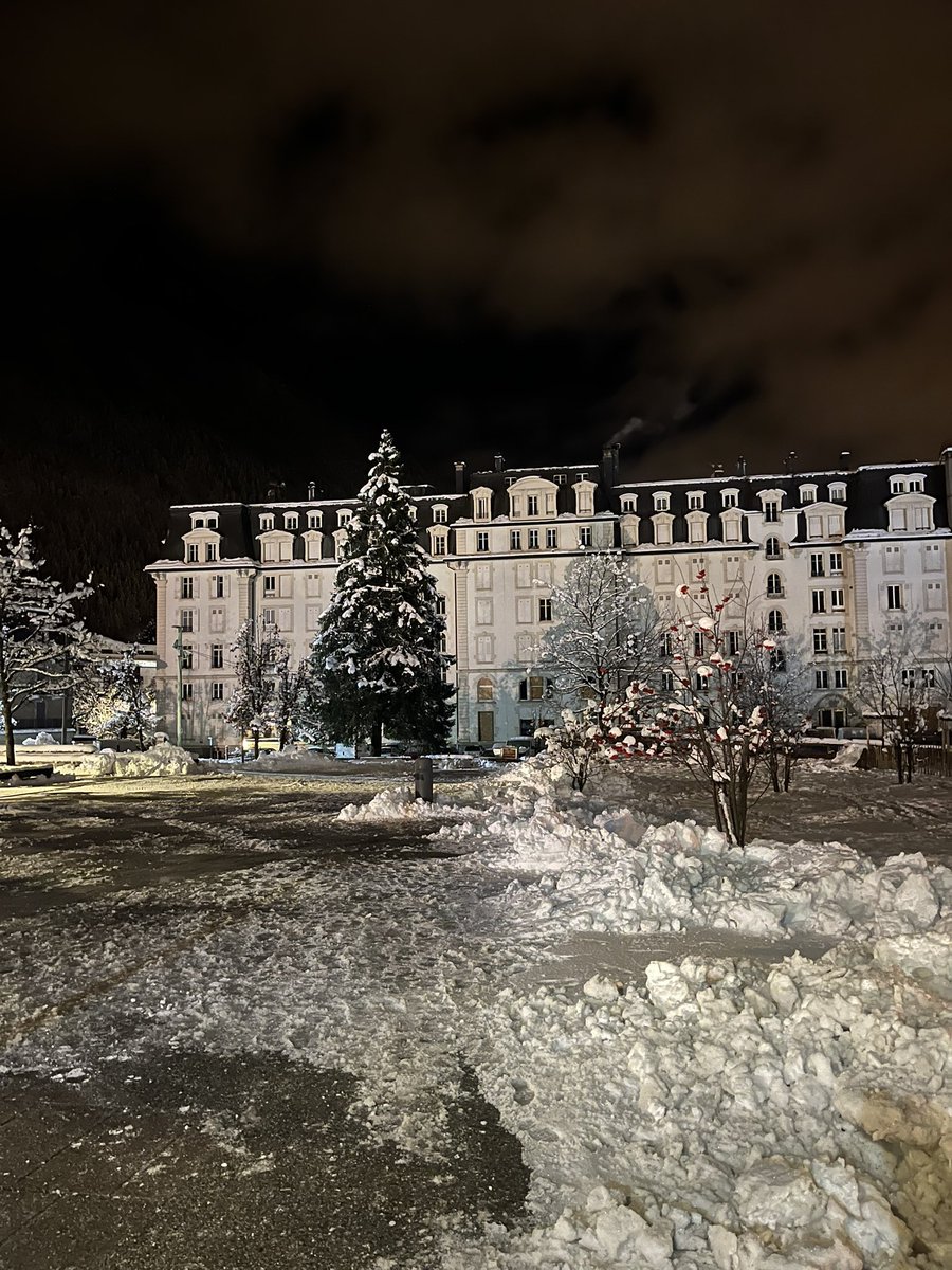 3adoul74🇩🇿 tweet media