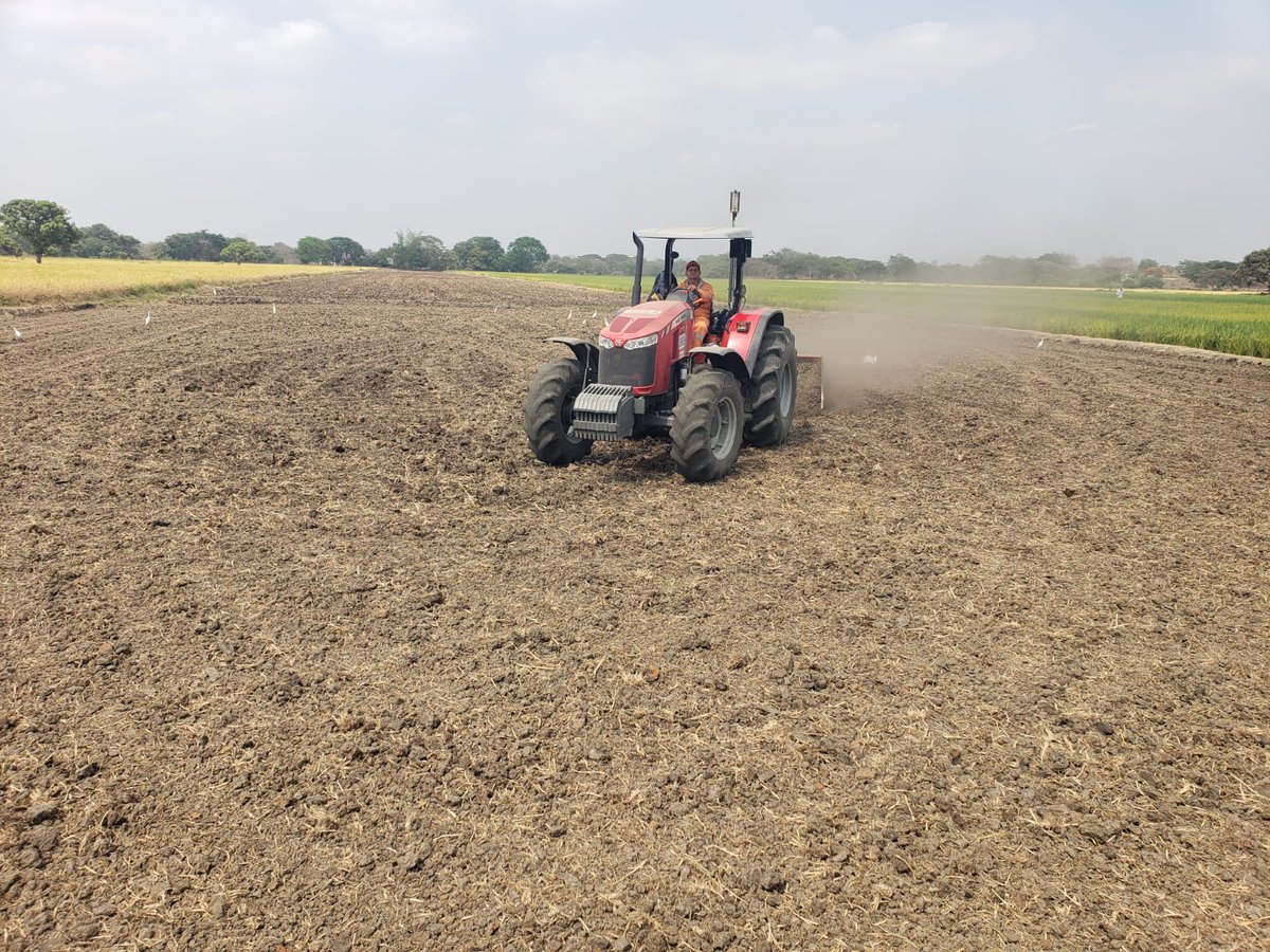 Guayas_Prod's tweet photo. 📍 Santa Lucía | Con la mecanización de 203.50 Ha, impulsamos el crecimiento agrícola, mejoramos la calidad del terreno y reducimos los tiempos de trabajo, optimizando los recursos. 🚜🌱💪

#LasObrasHablanPorNosotros https://t.co/53cnANFcr4