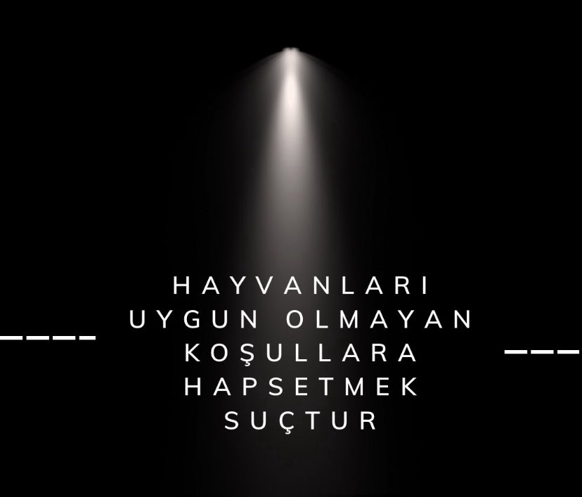 Avcılar Belediyesi de mi köpek toplama furyasına katıldı?
Oysa yasada belediyelere 2029’a kadar süre tanınmış durumda.
🔴 Aceleniz ne?

Aşağıdaki sorulara kamuoyu önünde yanıt verilmesini talep ediyoruz:

📌 Barınakta şu an kaç hayvan bulunuyor ve toplam kaç padok mevcut?

📌