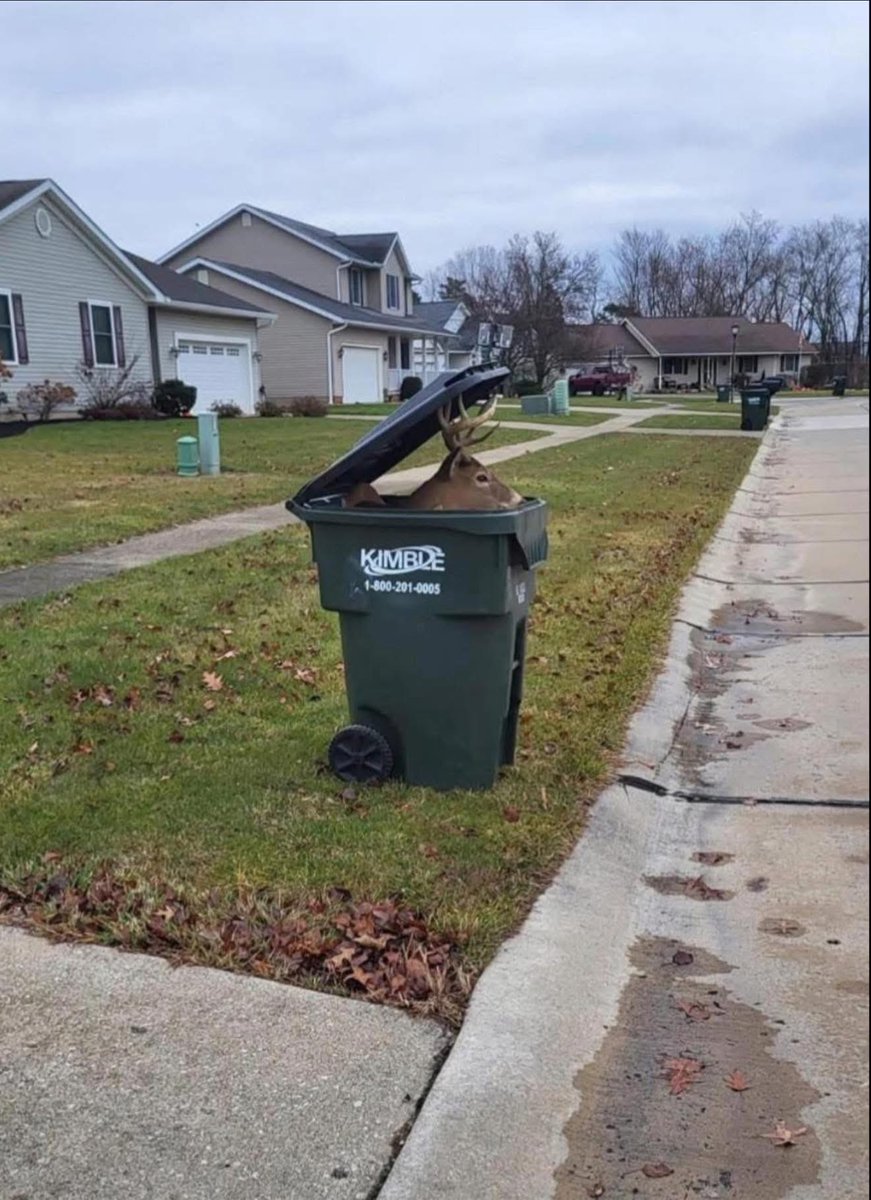 Outdoor Obsession tweet media