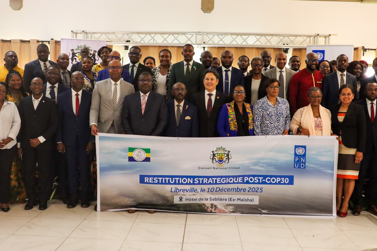 PNUD GABON tweet media