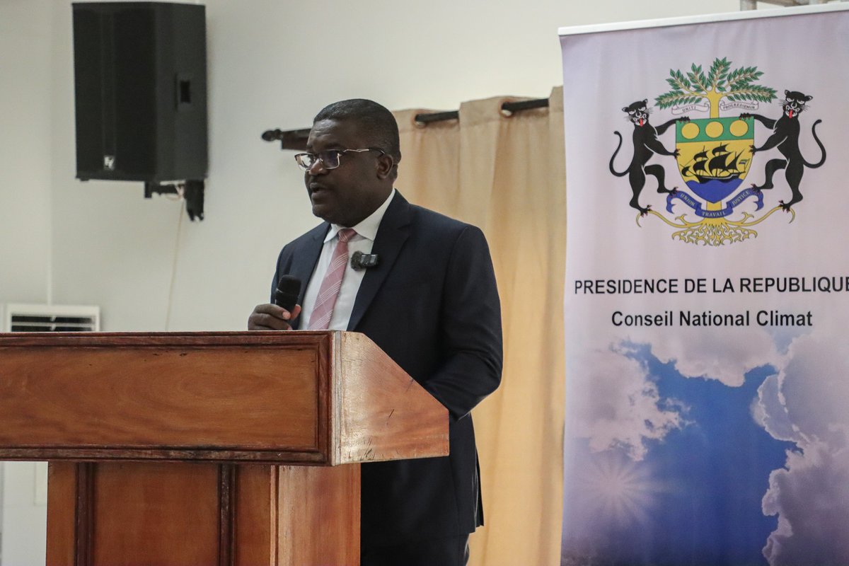 PNUD GABON tweet media