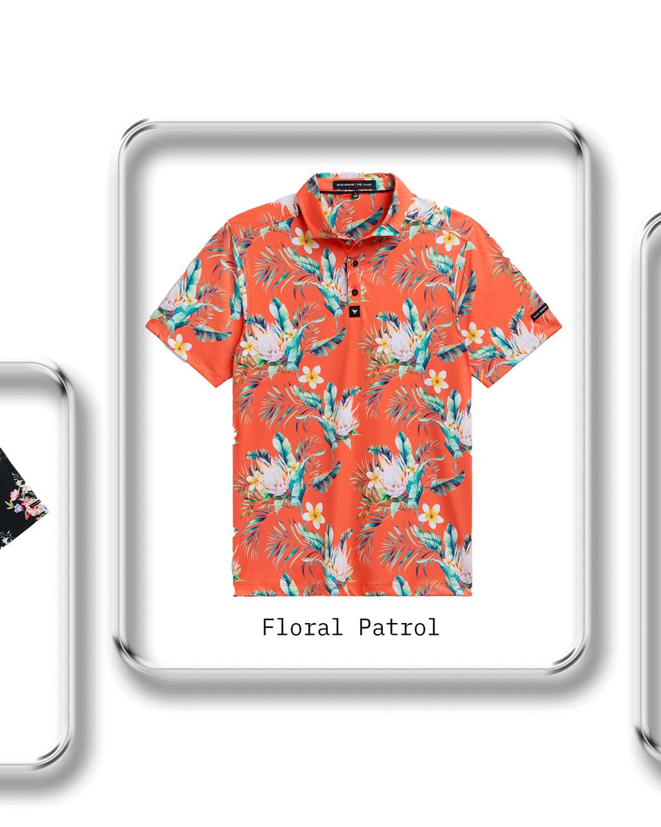 Bad Birdie tweet media