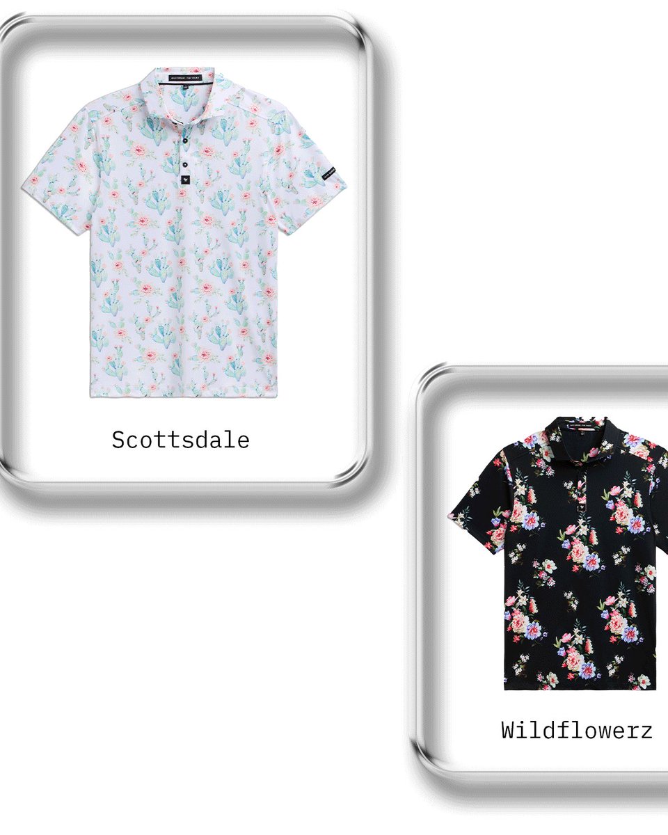 Bad Birdie tweet media