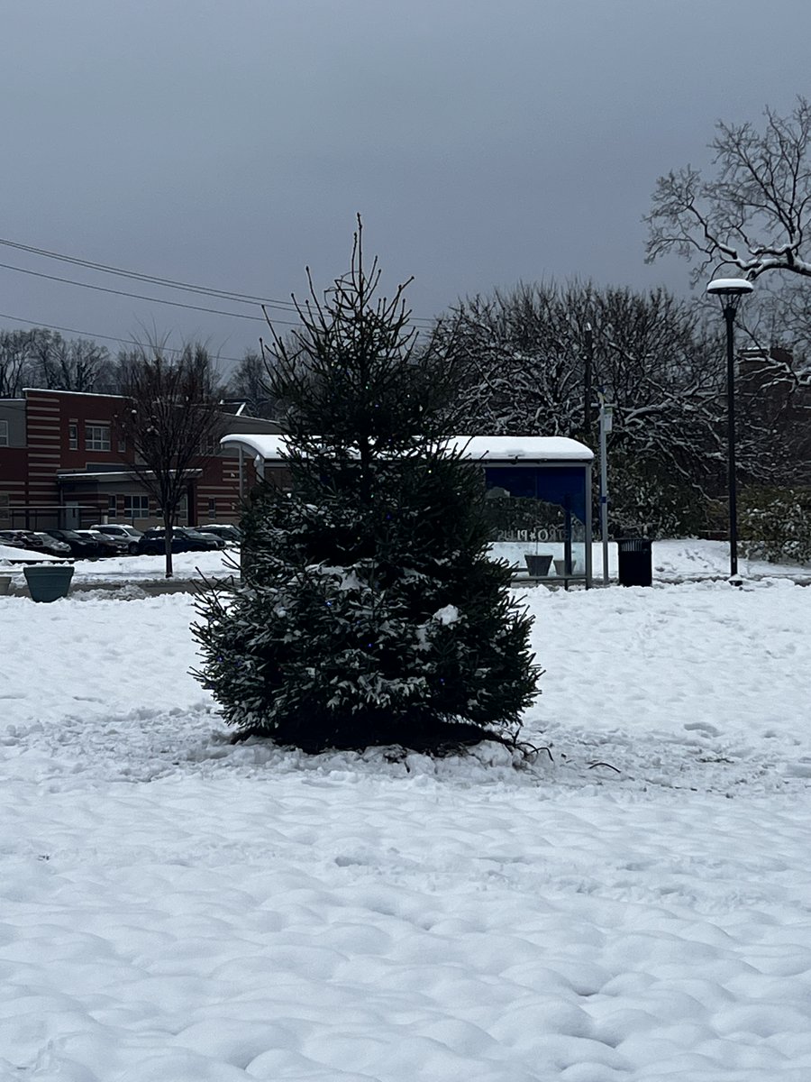 Lee_Cincinnati's tweet photo. Congrats to Fifth Third Bank, the newest tenant at Avondale Town Center! Despite the chilly weather, our team was excited to support their grand opening last week. A big thank-you to the Cincy Zoo for donating a beautiful tree! #leeassociates #leecincinnati #congrats https://t.co/A4ETetgUWP