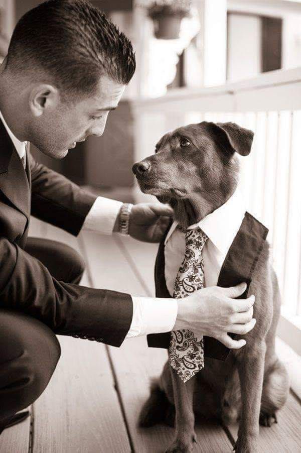 _B___S's tweet photo. The groom getting his best man ready for the wedding . . . One of the best wedding photos ever! https://t.co/2lgoErNx29
