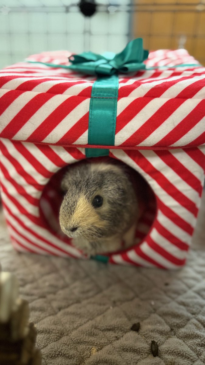 Hope College Biology tweet media