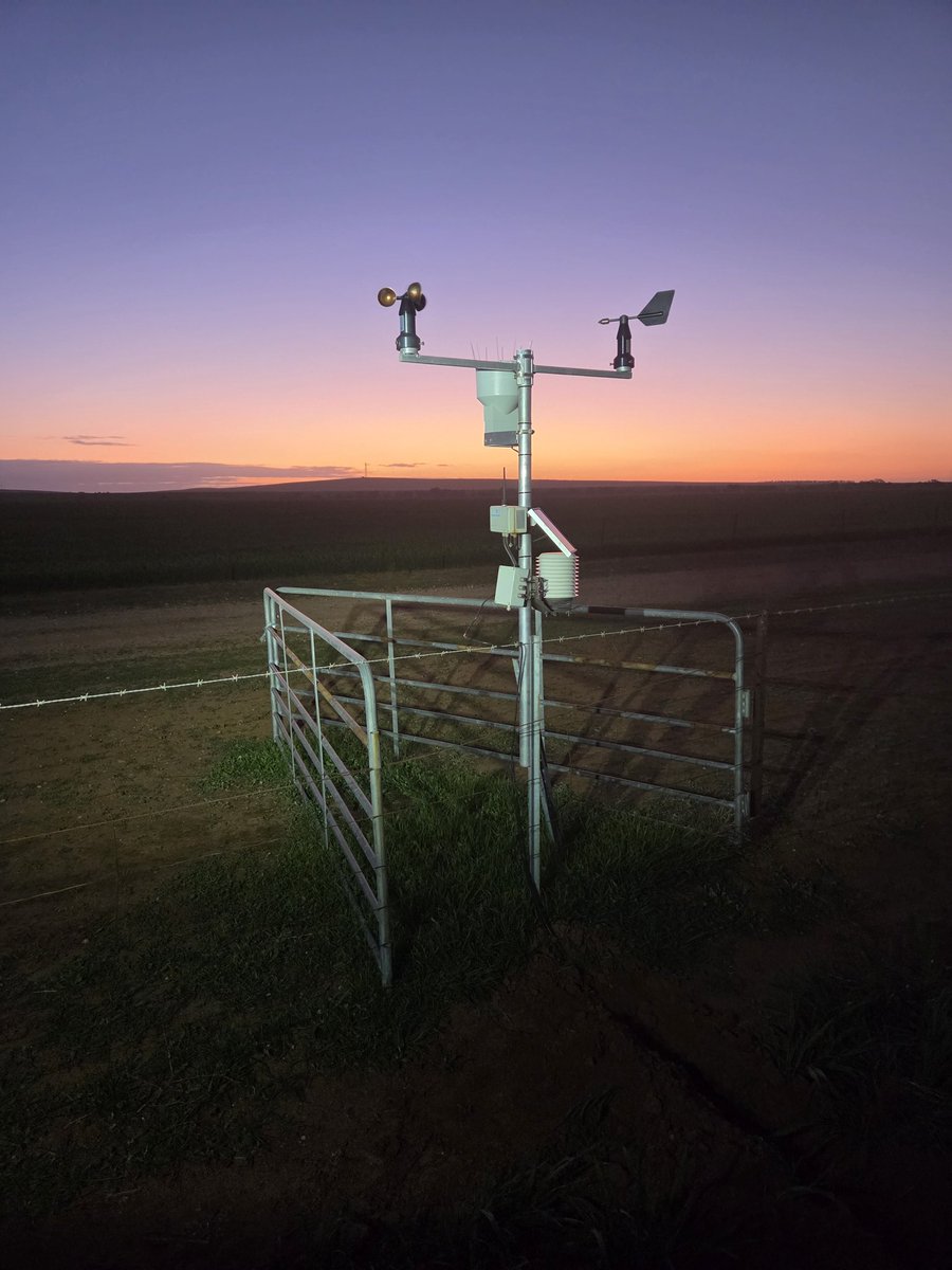 Leighton Wilksch tweet media