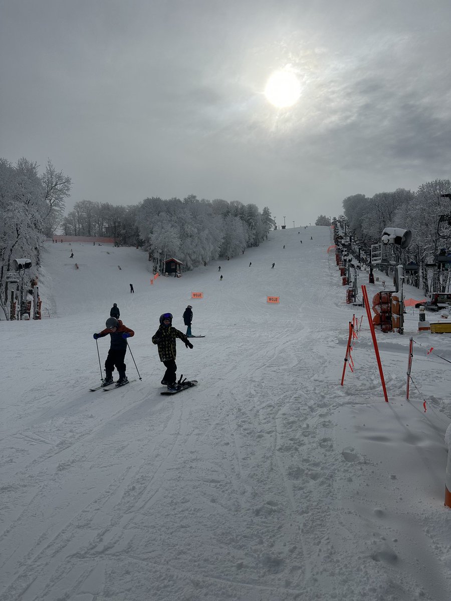 Dowell Loggains tweet media