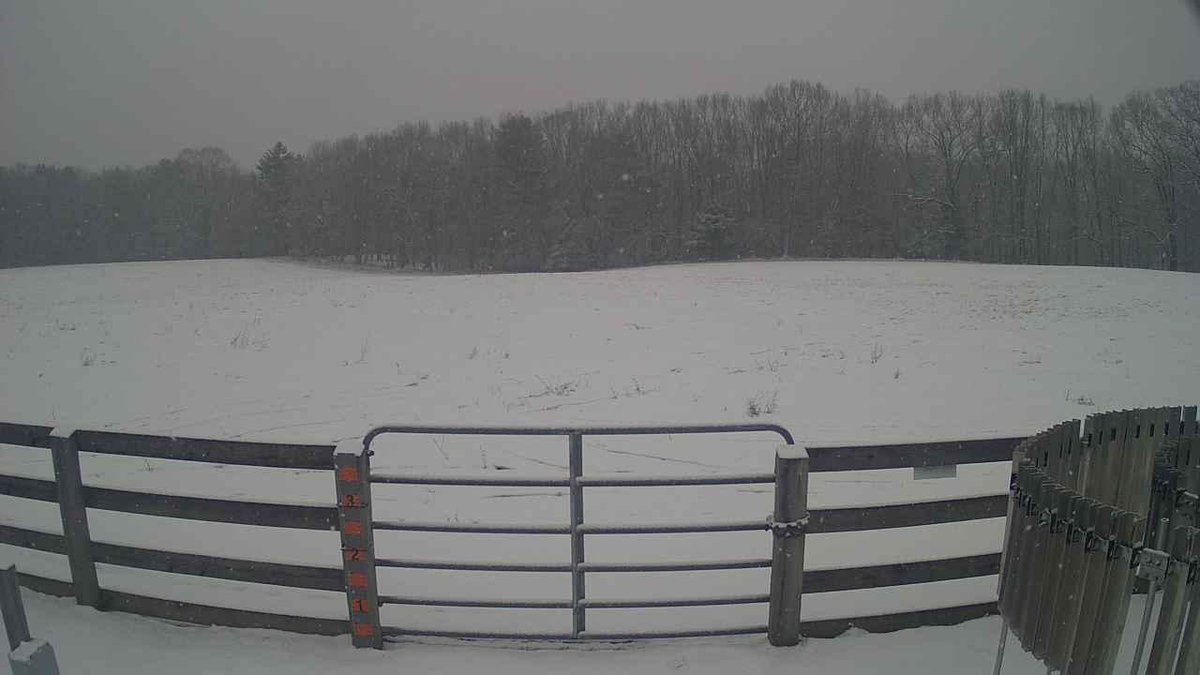 Light to moderate snow has developed across parts of Western