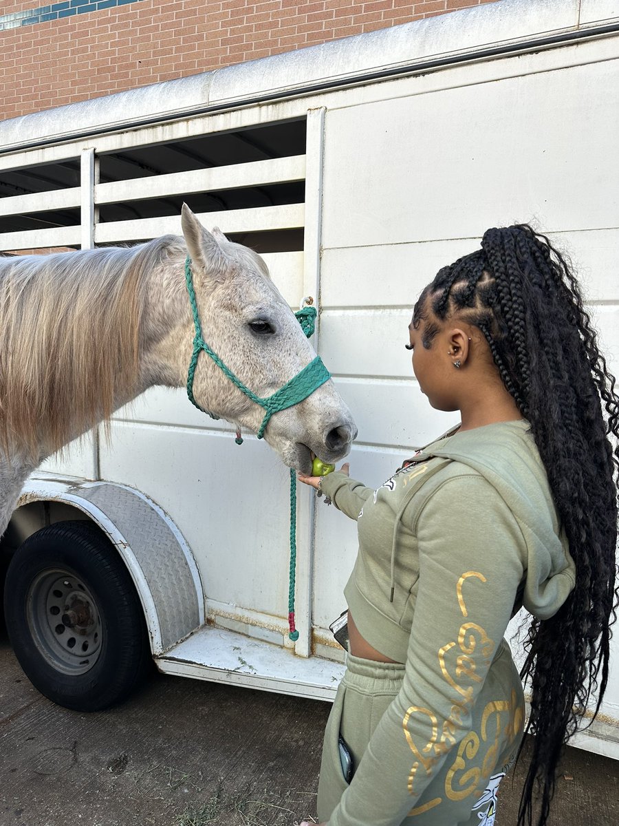 Spring FFA tweet media