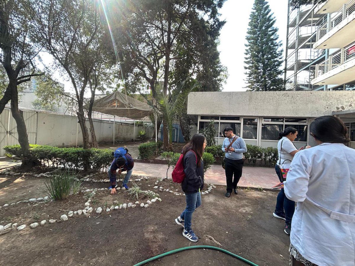 🌿 Hoy visitamos las unidades GAM, Estancia Temporal y San Antonio Abad para arrancar el proyecto Jardín Polinizador y Huertos Urbanos junto a la <a href="/SEDEMA_CDMX/">Secretaría del Medio Ambiente</a> 🐝🌱  

Todo como parte de la campaña #Dame4PorTuBienestar para promover entornos más saludables.  

#Sustentabilidad