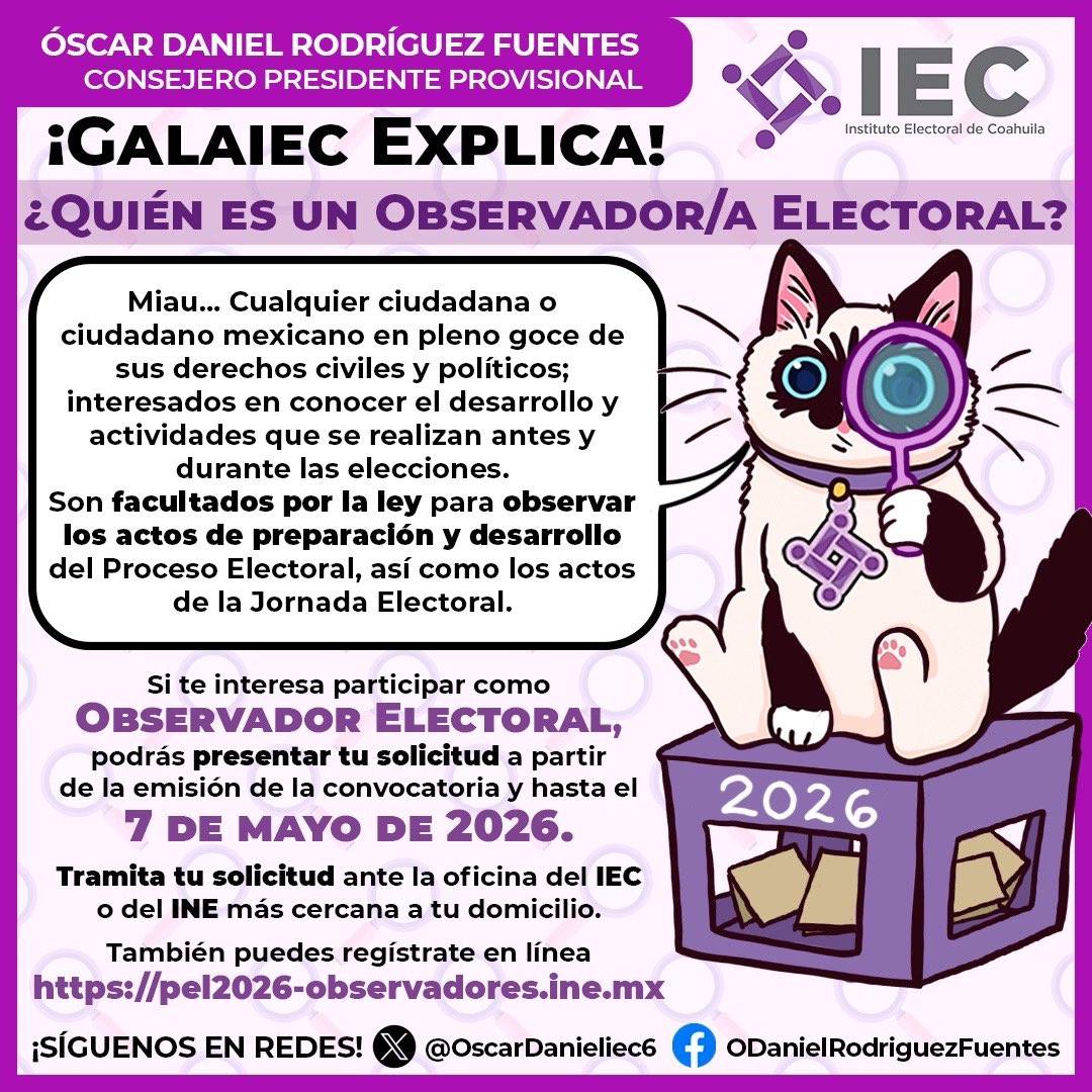 La #observacion #electoral para este Proceso Electoral Local Ordinario 2025-2026 en el que se elegirán diputaciones locales es importante, por eso te invitamos a registrarte, Galaiec te explica qué es un observador/a electoral y te dice cómo ser parte de este proceso🐈👇👇👇
