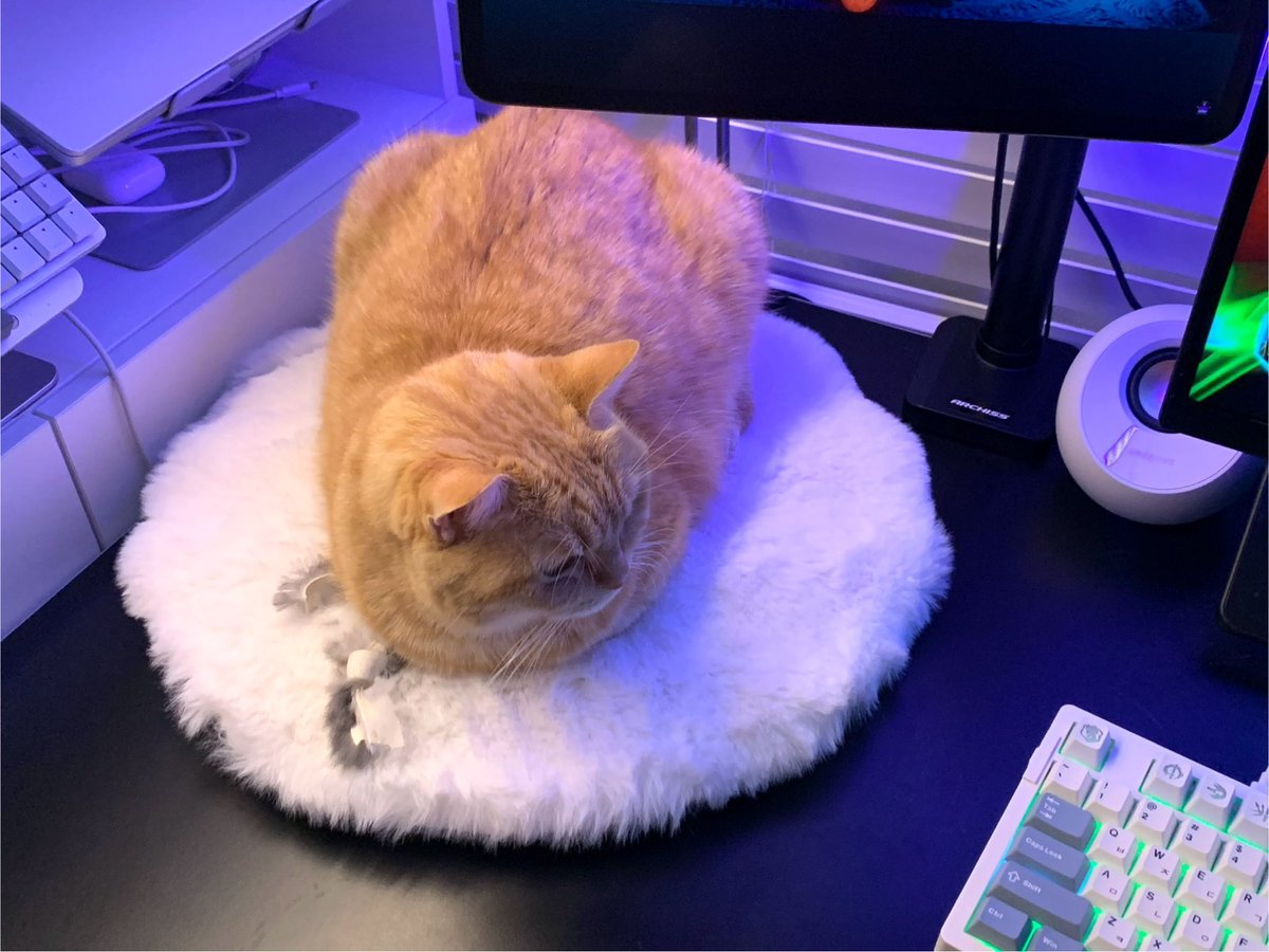 The Dragon becums you (@_ki2m) on Twitter photo 