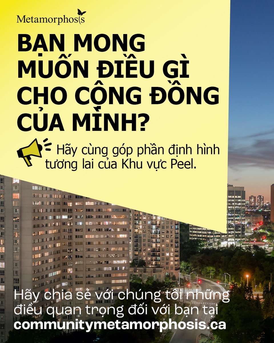 Metamorphosis Network tweet media