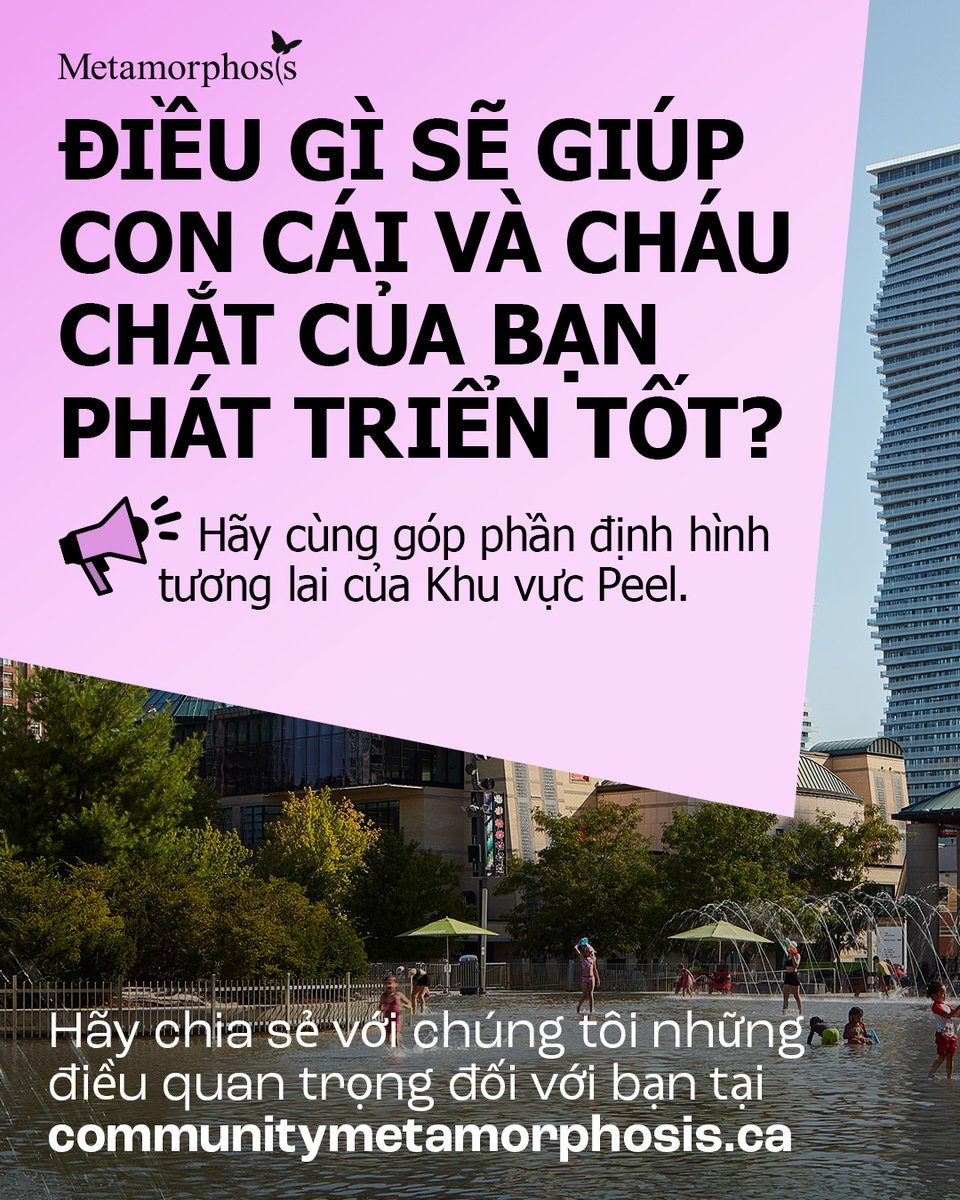 Metamorphosis Network tweet media