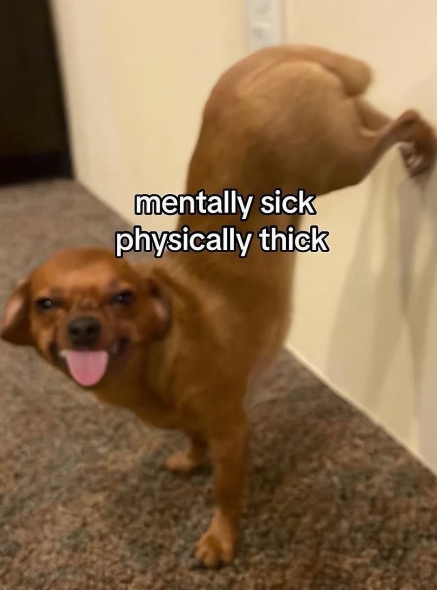 cravedcuddle's tweet image. 