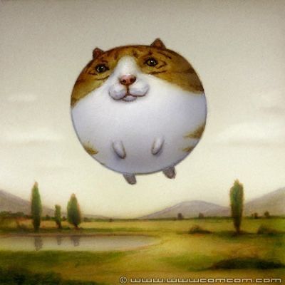 Why does Alex hate me now