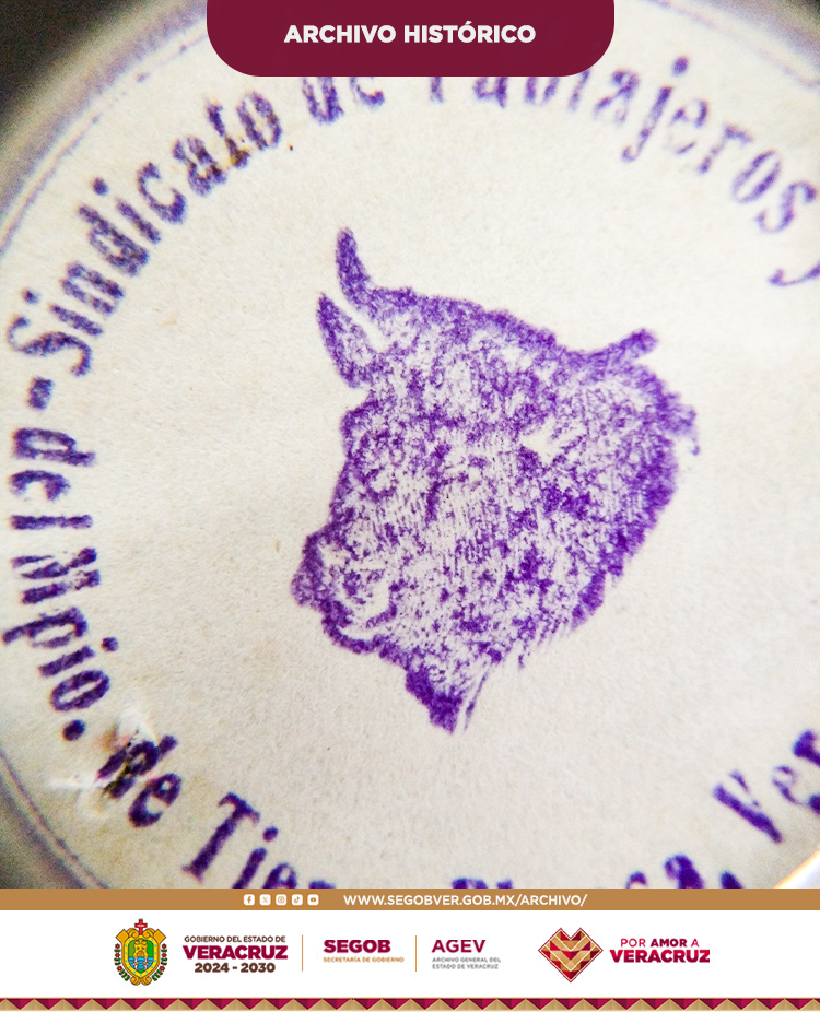 Sindicato de Tablajeros y Similares

Un sello de 1933 proveniente del municipio de Tierra Blanca, Veracruz, donde el protagonismo lo tiene un bovino al centro, símbolo del oficio y la identidad de este gremio.

AGEV, SEGOB, J.C.C.A. Demandas Laborales. Caja 108 (1933)