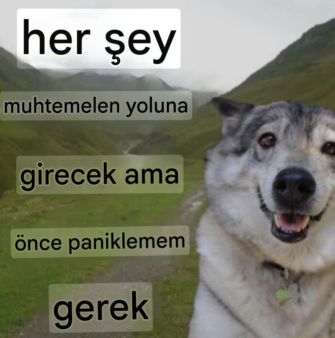 ANLIK (@anlikmod) on Twitter photo 