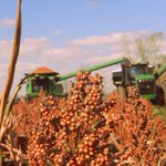 Photo by Farming The Countryside (@FarmTheCountry)