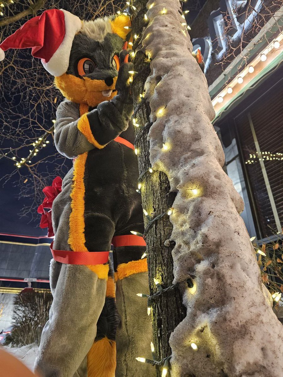 RacTrashy's tweet photo. The snow was so pretty at #MFF2025 #FursuitEveryday https://t.co/5eIIuF5Wo5