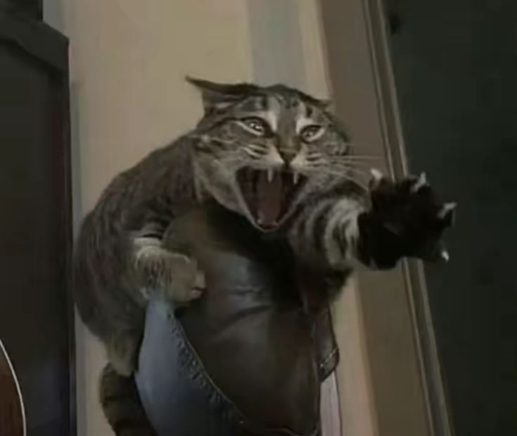 Code_bug264's tweet image. Me watching demo write knowing they can't write fluff to save their life