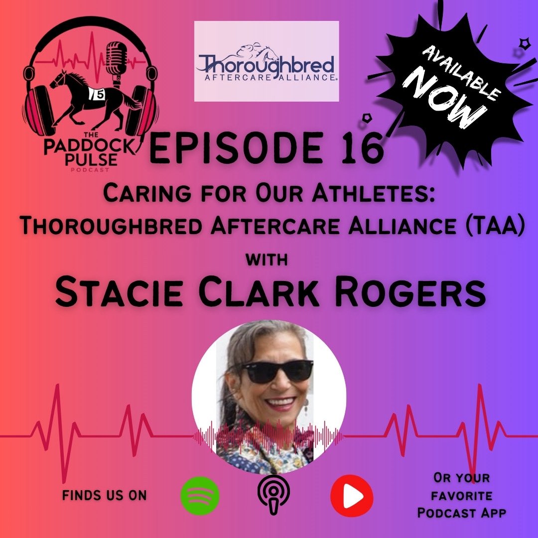 Paddock Pulse tweet media