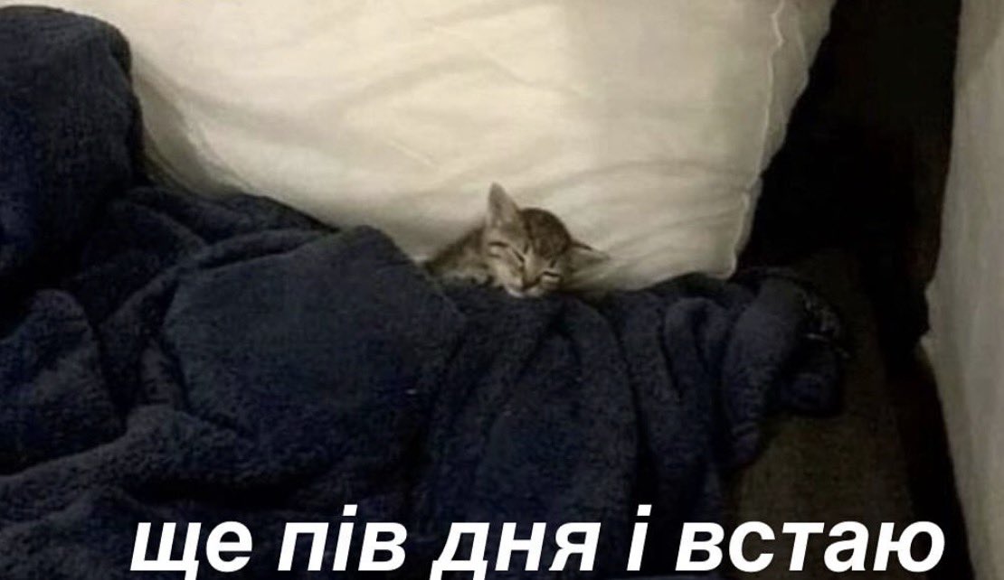 Це я цілий день з температурою