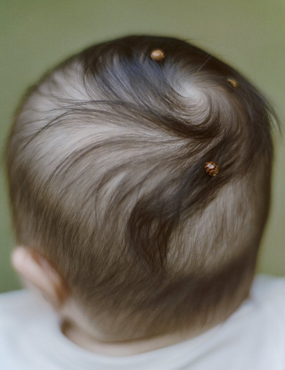 Castlesystems tweet media