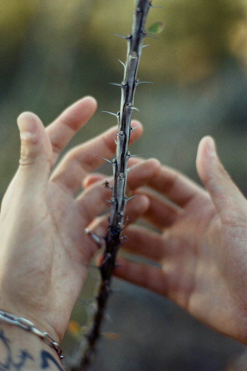 Castlesystems tweet media