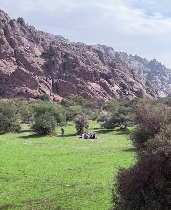 وادي الرضفين.. يحوّل شتاء حائل إلى موسم الربيع. للاطلاع على 
