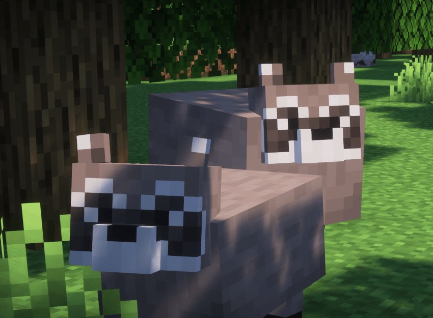 minecraft raccoons :3