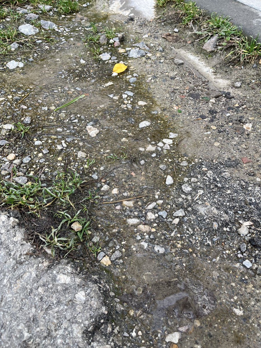 Keçiören / Yükseltepe Mah. 1824. Sokak 3 haftadır kanalizasyon akıyor. Hiçbir şikayetimize çözüm bulunmadı. Problem nerdeyse tespiti için adım da atılmamakta. Hijyenik değil, sağlıklı değil, temiz değil; buralara basıp yürüyoruz kokudan geçilmiyor lütfen bir yetkili sesimizi