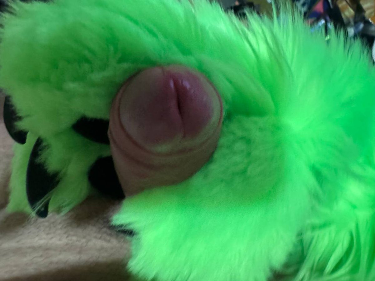 stupid fox moods tonight